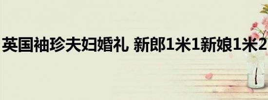 英国袖珍夫妇婚礼 新郎1米1新娘1米25（图）