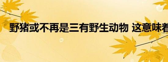 野猪或不再是三有野生动物 这意味着什么