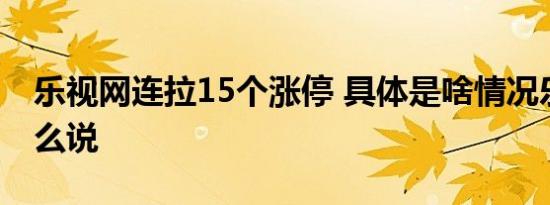 乐视网连拉15个涨停 具体是啥情况乐视网怎么说