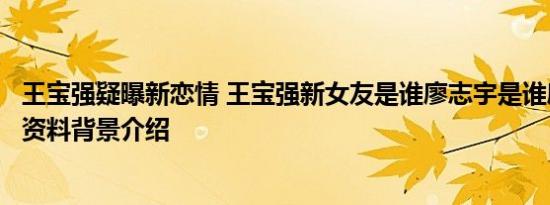 王宝强疑曝新恋情 王宝强新女友是谁廖志宇是谁廖志宇个人资料背景介绍