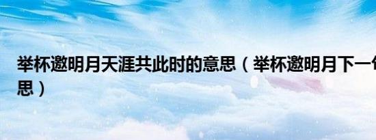 举杯邀明月天涯共此时的意思（举杯邀明月下一句是什么意思）