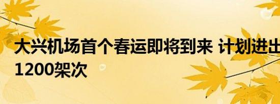 大兴机场首个春运即将到来 计划进出港航班11200架次
