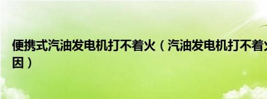 便携式汽油发电机打不着火（汽油发电机打不着火是什么原因）