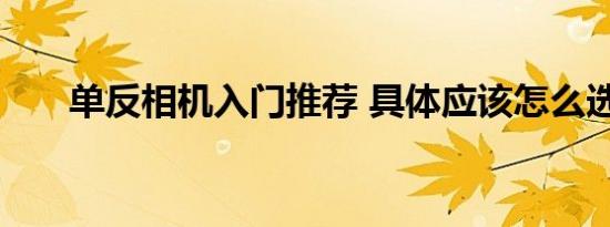 单反相机入门推荐 具体应该怎么选择