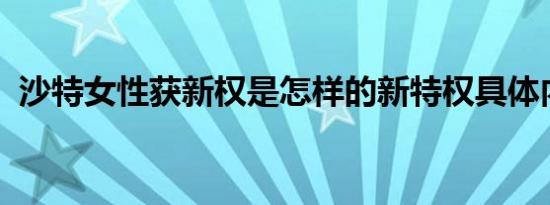 沙特女性获新权是怎样的新特权具体内容是