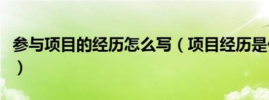 参与项目的经历怎么写（项目经历是什么意思）