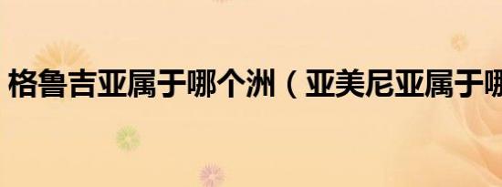 格鲁吉亚属于哪个洲（亚美尼亚属于哪个洲）