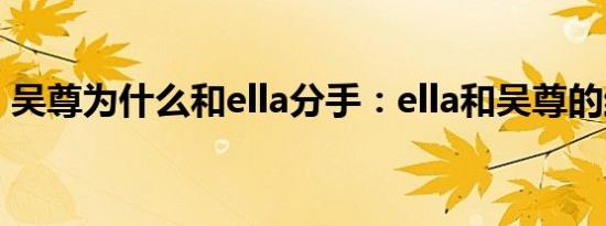 吴尊为什么和ella分手：ella和吴尊的结婚照
