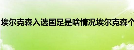 埃尔克森入选国足是啥情况埃尔克森个人简介