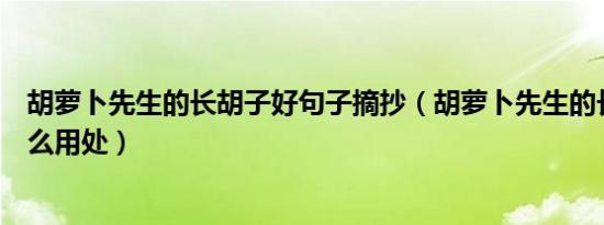 胡萝卜先生的长胡子好句子摘抄（胡萝卜先生的长胡子有什么用处）