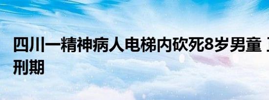 四川一精神病人电梯内砍死8岁男童 正处于服刑期