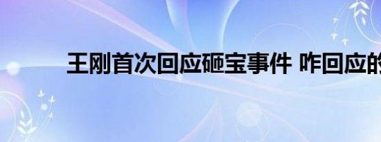 王刚首次回应砸宝事件 咋回应的