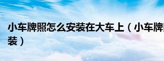 小车牌照怎么安装在大车上（小车牌照怎么安装）