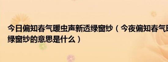 今日偏知春气暖虫声新透绿窗纱（今夜偏知春气暖虫声新透绿窗纱的意思是什么）