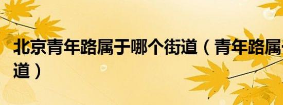 北京青年路属于哪个街道（青年路属于哪个街道）