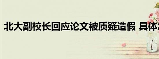 北大副校长回应论文被质疑造假 具体怎样的