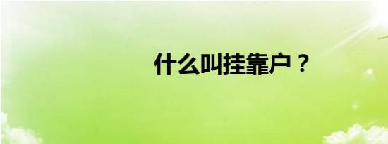什么叫挂靠户？