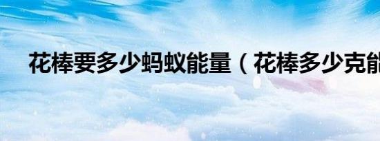 花棒要多少蚂蚁能量（花棒多少克能量）