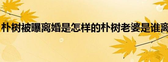 朴树被曝离婚是怎样的朴树老婆是谁离婚原因