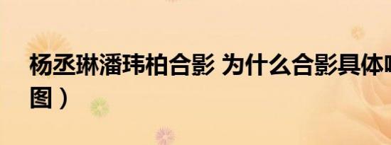 杨丞琳潘玮柏合影 为什么合影具体啥情况（图）
