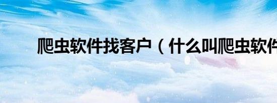 爬虫软件找客户（什么叫爬虫软件）