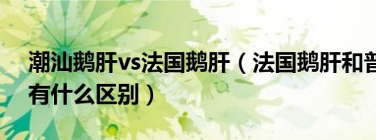 潮汕鹅肝vs法国鹅肝（法国鹅肝和普通鹅肝有什么区别）