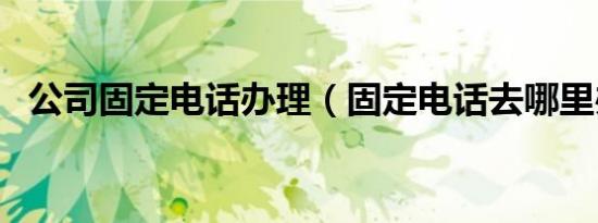 公司固定电话办理（固定电话去哪里办理）