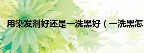 用染发剂好还是一洗黑好（一洗黑怎么用）