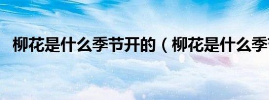 柳花是什么季节开的（柳花是什么季节的）