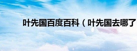 叶先国百度百科（叶先国去哪了）