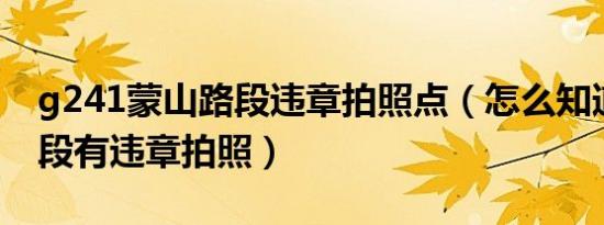 g241蒙山路段违章拍照点（怎么知道哪些路段有违章拍照）