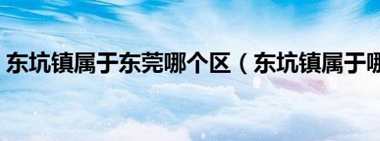 东坑镇属于东莞哪个区（东坑镇属于哪个区）
