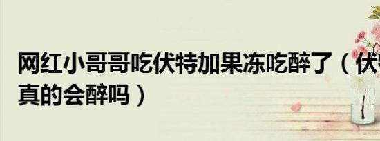 网红小哥哥吃伏特加果冻吃醉了（伏特加果冻真的会醉吗）