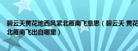 碧云天黄花地西风紧北雁南飞意思（碧云天 黄花地 西风紧 北雁南飞出自哪里）
