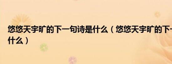 悠悠天宇旷的下一句诗是什么（悠悠天宇旷的下一句诗句是什么）