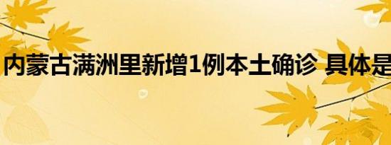 内蒙古满洲里新增1例本土确诊 具体是啥情况