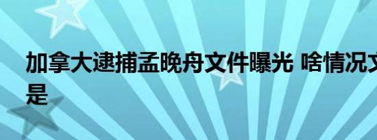 加拿大逮捕孟晚舟文件曝光 啥情况文件内容是