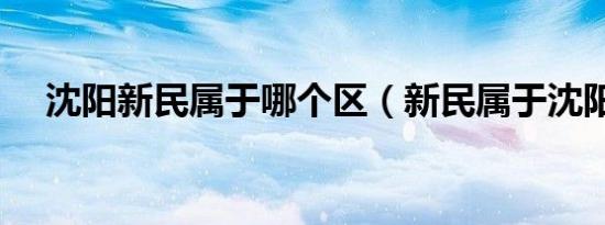 沈阳新民属于哪个区（新民属于沈阳吗）
