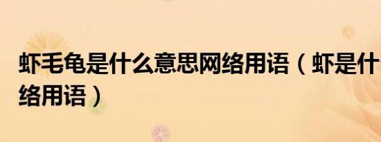 虾毛龟是什么意思网络用语（虾是什么意思网络用语）