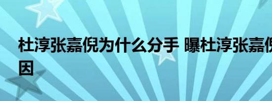 杜淳张嘉倪为什么分手 曝杜淳张嘉倪分手原因
