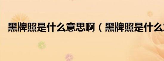 黑牌照是什么意思啊（黑牌照是什么意思）