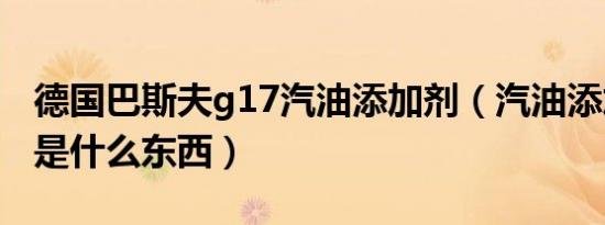 德国巴斯夫g17汽油添加剂（汽油添加剂g17是什么东西）