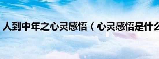 人到中年之心灵感悟（心灵感悟是什么意思）