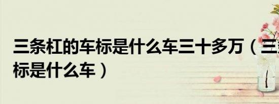 三条杠的车标是什么车三十多万（三条杠的车标是什么车）