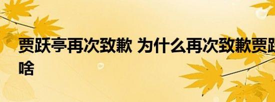 贾跃亭再次致歉 为什么再次致歉贾跃亭说了啥
