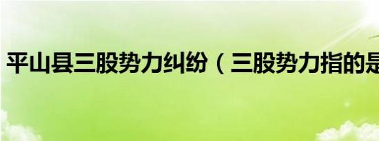 平山县三股势力纠纷（三股势力指的是什么）