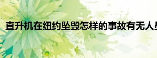 直升机在纽约坠毁怎样的事故有无人员伤亡