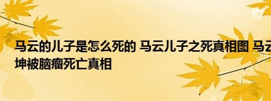 马云的儿子是怎么死的 马云儿子之死真相图 马云儿子马元坤被脑瘤死亡真相