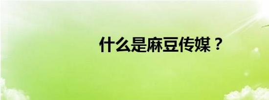 什么是麻豆传媒？