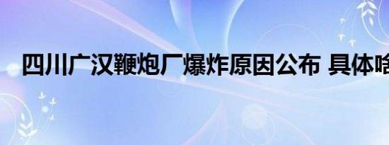 四川广汉鞭炮厂爆炸原因公布 具体啥情况